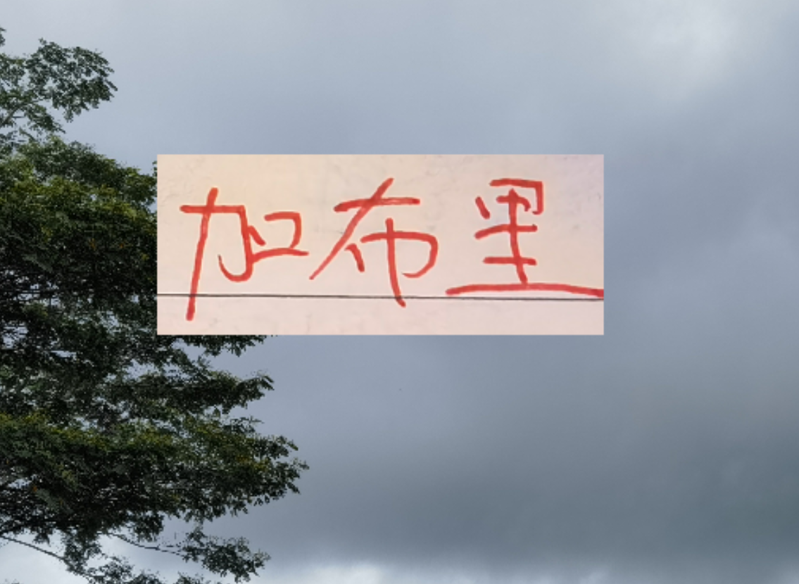 B体育在线服务-是走还是留？ 海港加布里埃尔国内跟国外说法不一样